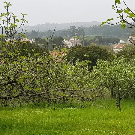 Pensjonat Casa Dos Tios
