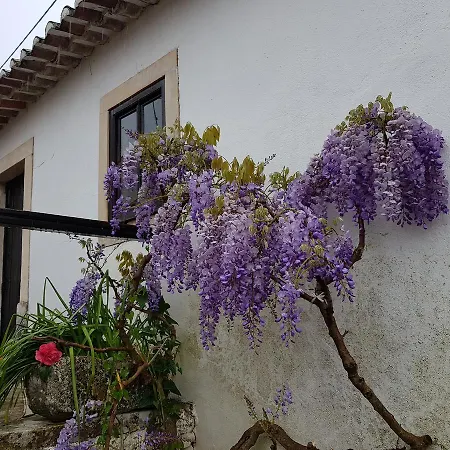 Casa Dos Tios 4* Фатіма