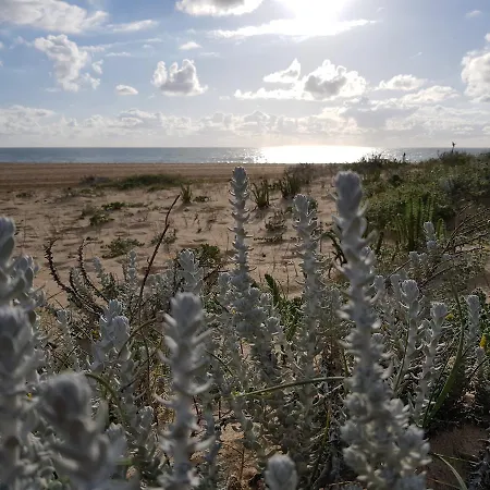 ゲストハウス Casa Dos Tios ファティマ