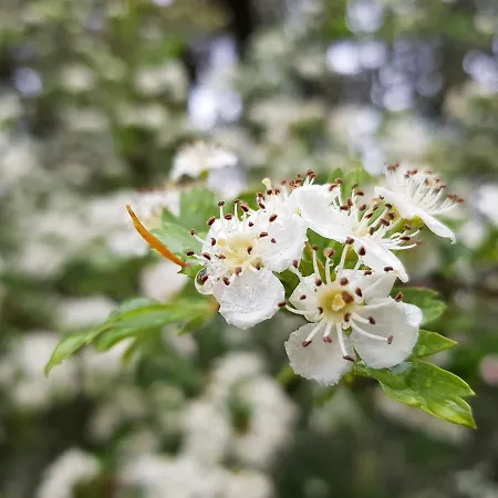 ゲストハウス Casa Dos Tios 4*