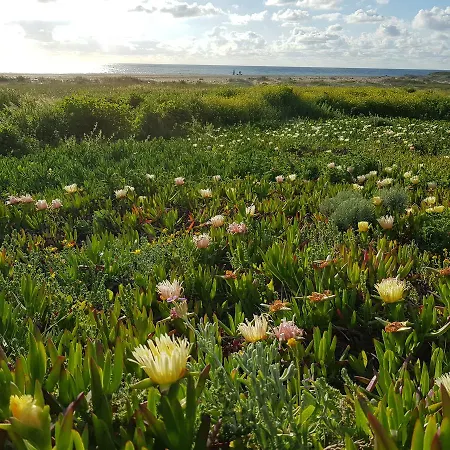 Гостьовий будинок Casa Dos Tios