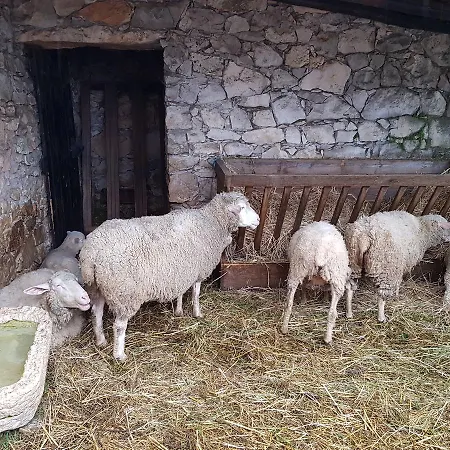Casa Dos Tios Pensjonat Fátima