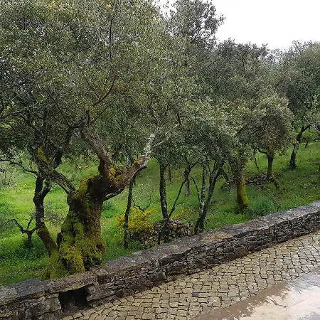 Casa Dos Tios Гостьовий будинок