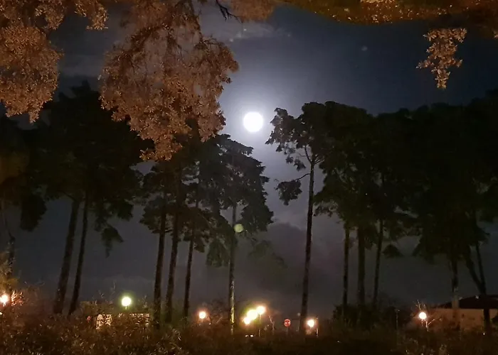 Casa Dos Tios ゲストハウス 4*