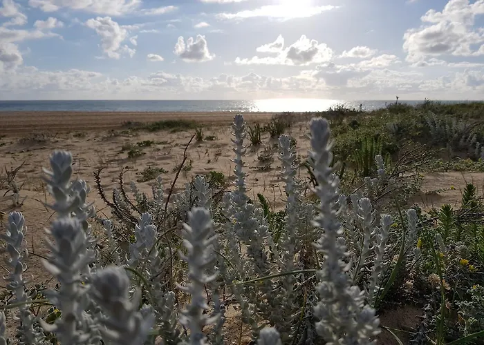 ゲストハウス Casa Dos Tios ファティマ