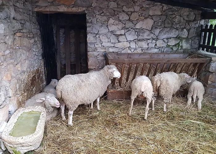 Casa Dos Tios Pensjonat Fátima