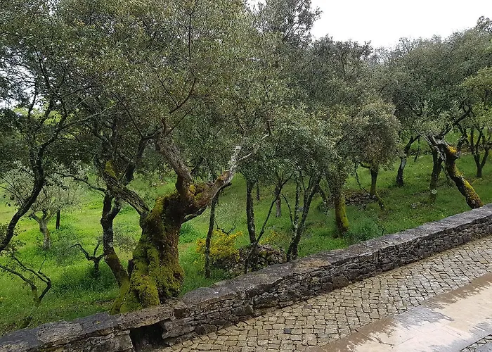 Casa Dos Tios ゲストハウス